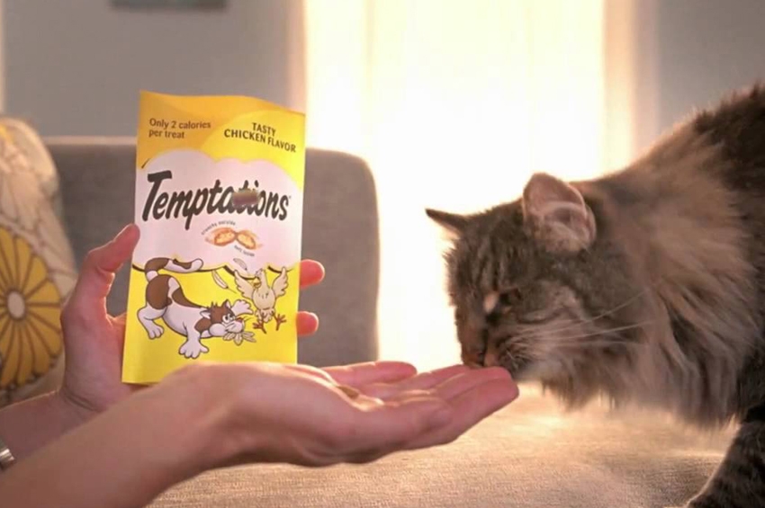 TEMPTATIONS™ ขนมแมวอันดับ 1 โลก พร้อมเสิร์ฟ 5 รสชาติอร่อย