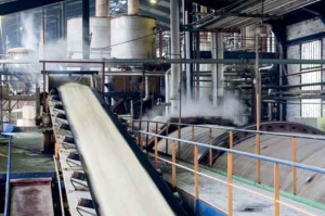 อุตสาหกรรมน้ำตาลทรายไทย ผนึกกลุ่ม GSA ร้อง WTO จี้อินเดียยกเลิกการอุดหนุนการส่งออกน้ำตาล ฉุดราคาน้ำตาลโลกต่ำสุดในรอบ 10 ปี
